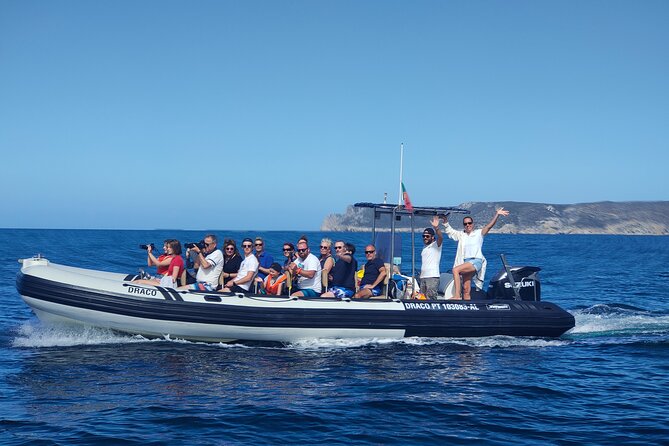 Sesimbra: Arrábida Dolphin and Whale Watching tour with biologist - Meeting at Sesimbra Marina: quick comforts before you cast off