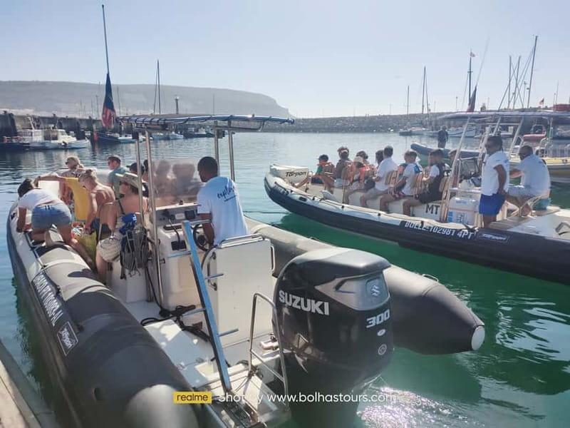 Sesimbra: Dolphin and Whales Watching with Biologist Guide - Why Sesimbra and Arrábida are such a good match for cetaceans