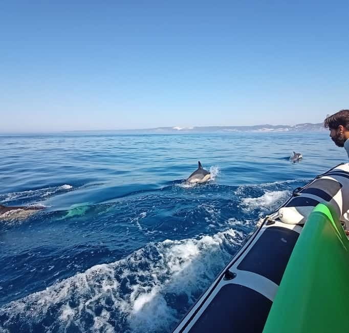 Sesimbra: Dolphin and Whales Watching with Biologist Guide - Moscato, caves, and coves: the coastal flavor you’ll remember