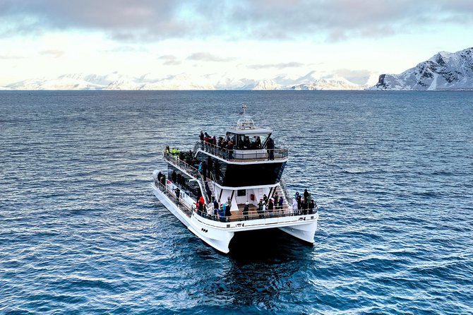 Silent Whale Watching by Hybrid-Electric Boat from Tromsø - Silent approach from Brim Explorer: why the boat feels special