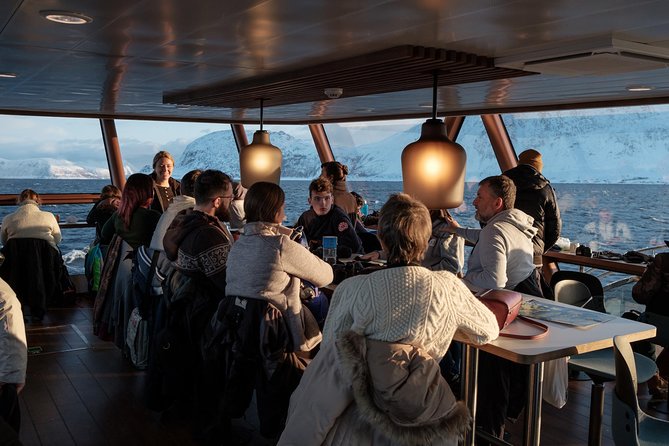 Silent Whale Watching by Hybrid-Electric Boat from Tromsø - Onboard crew talks and safety briefings: what fills the long stretches