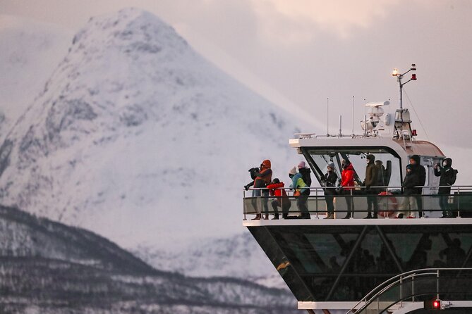 Silent Whale Watching by Hybrid-Electric Boat from Tromsø - Cold weather, rough water, and seasickness reality
