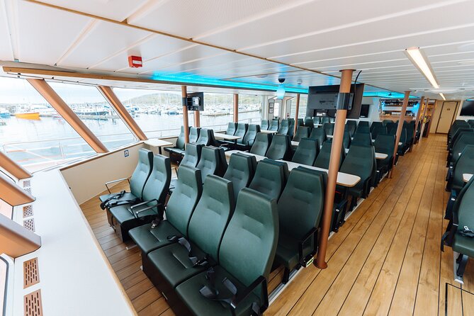 Silent Whale Watching on Hybrid-Electric Boat with Scenic Bustrip - Kvænangen whale searching: orcas, humpbacks, and the real odds
