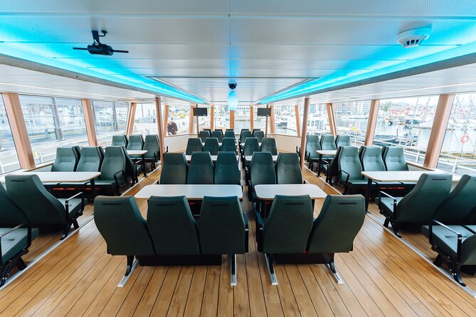 Silent Whale Watching on Hybrid-Electric Boat with Scenic Bustrip - Crew energy, onboard touches, and how the experience stays calm