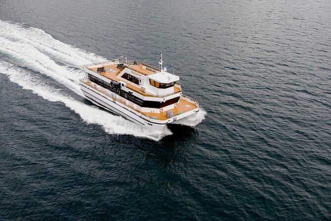 Silent Whale Watching on Hybrid-Electric Boat with Scenic Bustrip - Price and what you’re really paying for (at $192.69)