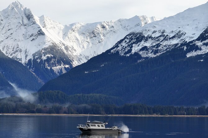 Sitka Premier Whale Watching and Wildlife Tour - Price and Value at $190: What You Actually Get for Two Hours