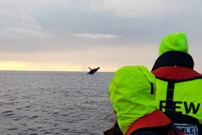 Small-group Whale Watching in the Midnight Sun from Reykjavík - Getting geared up: overalls, gloves, goggles, and suspension seats
