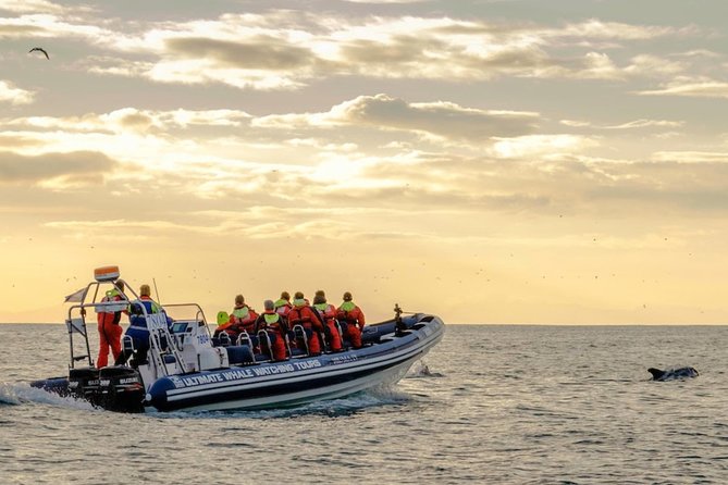 Small-group Whale Watching in the Midnight Sun from Reykjavík - Sun Voyager and the “wrap-up” views on the way back