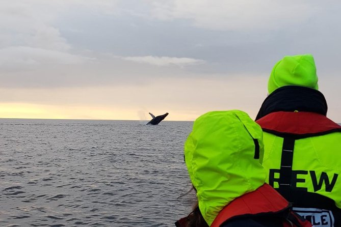 Small-group Whale Watching in the Midnight Sun from Reykjavík - Getting geared up: overalls, gloves, goggles, and suspension seats