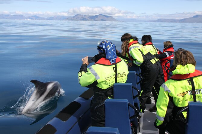 Speedboat Whale Watching Small-Group Tour in Reykjavik - A speedy RIB is the whole point on Faxaflói Bay