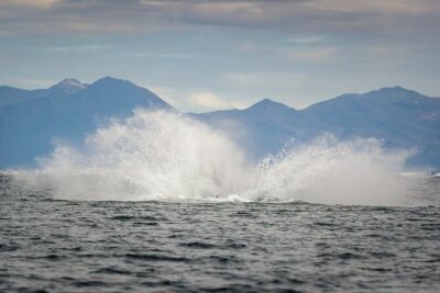 Speedboat Whale Watching Small-Group Tour in Reykjavik - Meet-up, gear, and the short walk from the city’s energy to open water