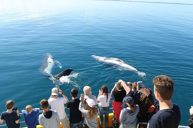 Spirit of Hervey Bay Whale Watching Cruise - Getting there: pickup, transfers, and easy parking