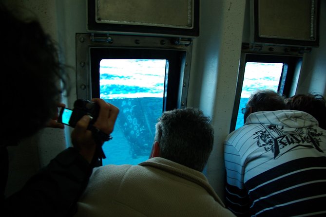 Spirit of Hervey Bay Whale Watching Cruise - Price and value: is $111 a good deal for what you get?
