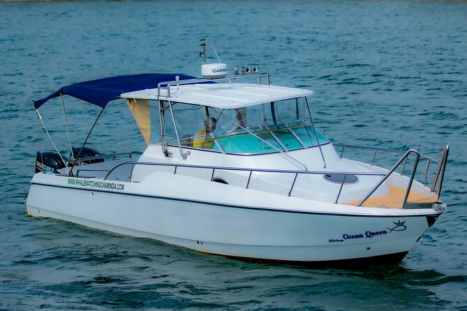 Sports Boat- Private Whale Watching Trip( free breakfast & paid pick-up) - Key Things Worth Knowing Before You Go