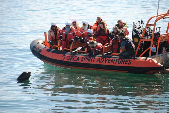 Summer Whale Watching Tour in a Zodiac Boat in Victoria - Whales Are the Goal, But Conditions Decide the Story