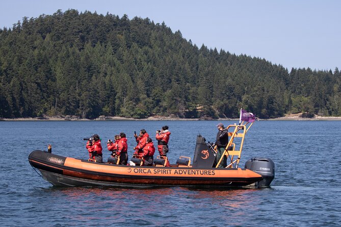 Summer Whale Watching Tour in a Zodiac Boat in Victoria - Small RIB Boat Viewing: Why It Can Feel Thrilling (and Sometimes Rough)
