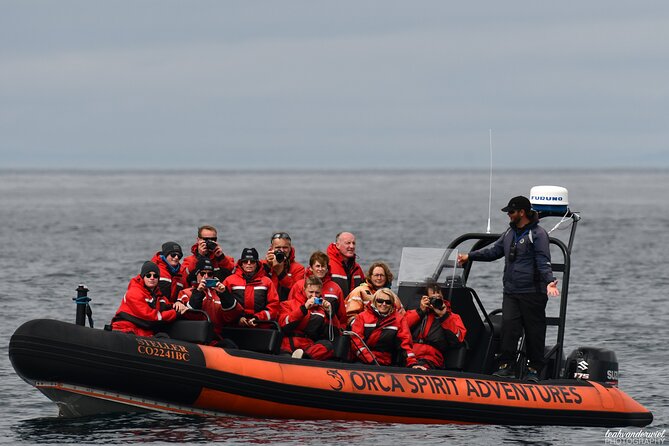 Summer Whale Watching Tour in a Zodiac Boat in Victoria - Food, Drinks, and Timing: Plan Like This Is Outdoors First