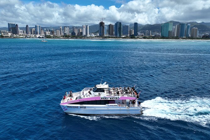 Sunset Cruise & Whale Watching from Oahu - Crew energy and photo help (why it matters for beginners)