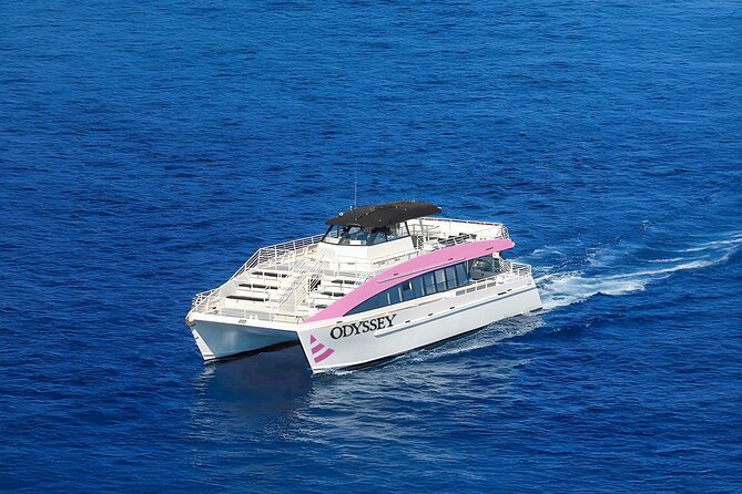 Sunset Cruise & Whale Watching from Oahu - Who this sunset whale watch fits best (and who should rethink)