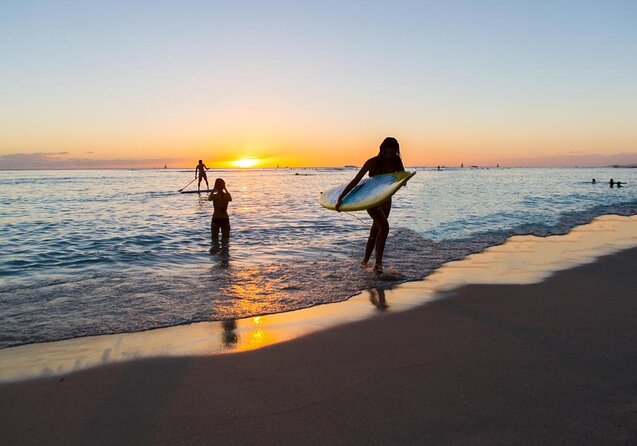 Sunset Whale Watch in Waikiki, Whales Guaranteed or Free Return - Key highlights worth your attention
