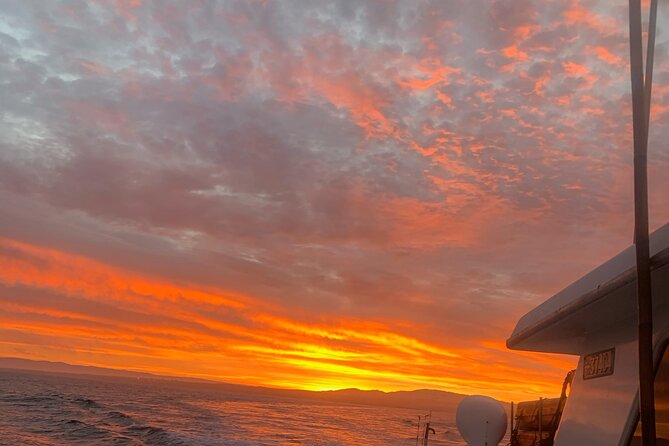 Sunset Whale Watch Tour in Monterey - Price and Logistics: Why $75 for 3 Hours Feels Fair