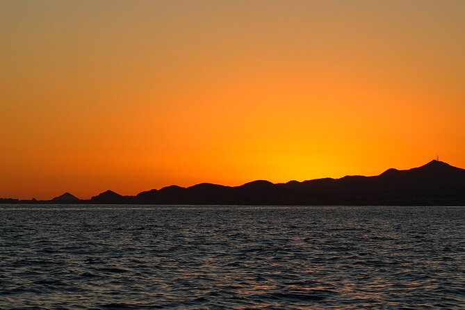 Sunset Whale Watching in San Jose del Cabo - Price and Value: What $100 Is Buying You
