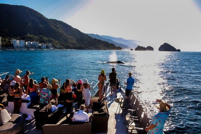 Sunsets and Whales Mega Yachts ALL INCLUSIVE: Puerto Vallarta - Sunset and Whales Mega Yachts: How the Bay Hunt Works