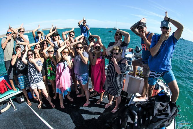Swim with Humpback Whales - Ningaloo Reef - 3 Islands Whale Shark Dive - Chance of whale sharks in the same day
