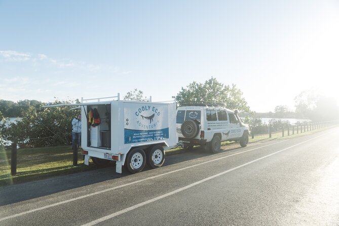 Swim with Whales Gold Coast - What the Day Feels Like at Each Stop Area