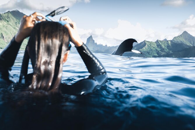Swimming with Whales in Moorea (Half Day tour) - The heart of the tour: what you’re really signing up for