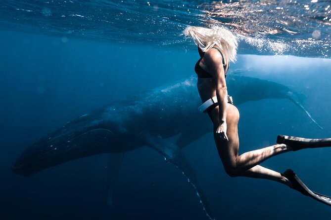 Swimming with Whales in Moorea (Half Day tour) - Meeting the boat team: the vibe you’re looking for