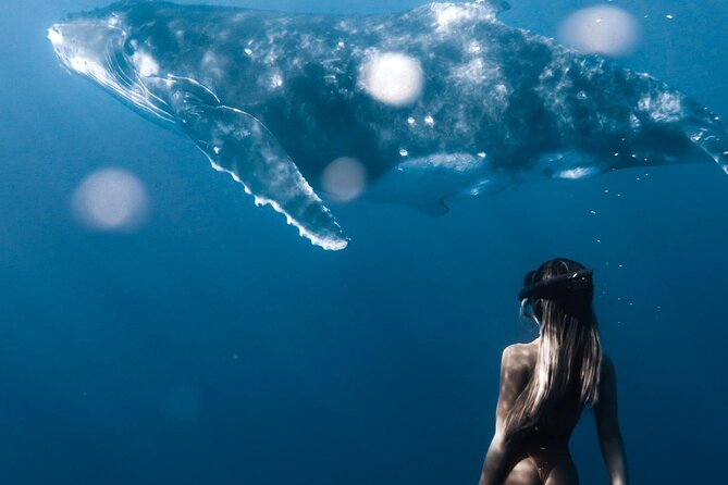 Swimming with Whales in Moorea (Half Day tour) - Life jacket rules vs wetsuits (French law, simple workaround)