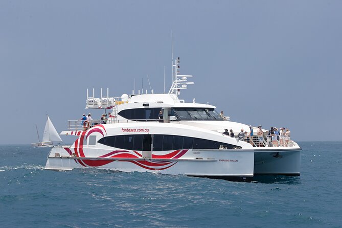 Sydney Whale Watching - 2.5hr Discovery Cruise - From Darling Harbour Past the Big Landmarks