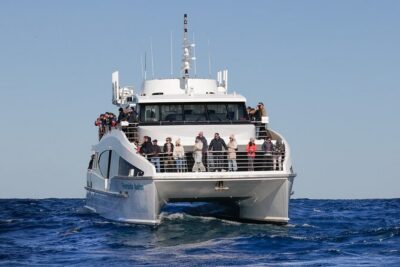 Sydney Whale Watching - 2.5hr Discovery Cruise - Onboard Comfort: Decks, Cabin, and Motion-Sickness Reality