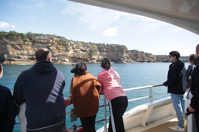 Sydney Whale Watching - 2.5hr Discovery Cruise - It’s Not Just About Whales: The Underwater World, Without the Wet Stuff