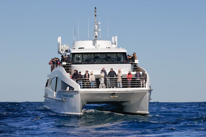 Sydney Whale Watching - 2.5hr Discovery Cruise - Onboard Comfort: Decks, Cabin, and Motion-Sickness Reality