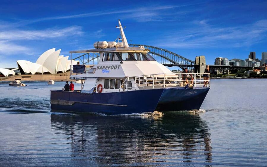 Sydney: Whale Watching Adventure Cruise - Whales Guaranteed! - The catamaran experience: views, comfort, and motion