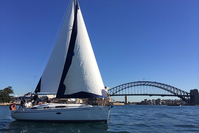 Sydney Whale Watching Cruise from Circular Quay - Onboard Setup: Open-Air Decks, Windows, and Where to Stand
