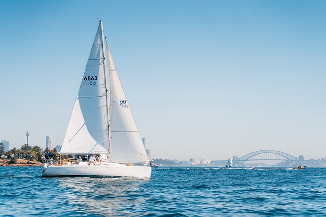 Sydney Whale Watching Cruise from Circular Quay - Weather, Season, and the Whale Guarantee Reality Check