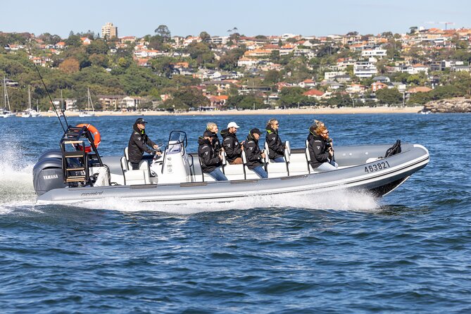 Sydney Whale Watching on Small RIB - Key things to know on a 12-passenger Sydney RIB whale watch