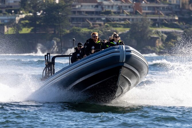 Sydney Whale Watching on Small RIB - Why the smallest RIB change your whole whale watch