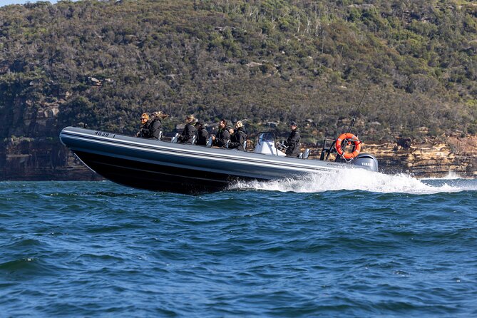 Sydney Whale Watching on Small RIB - The whale search area: how the crew helps you actually spot whales
