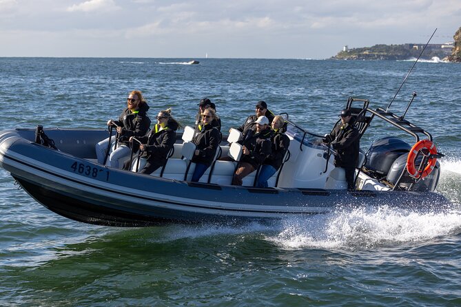 Sydney Whale Watching on Small RIB - Sydney Heads run: the quick thrill before open ocean