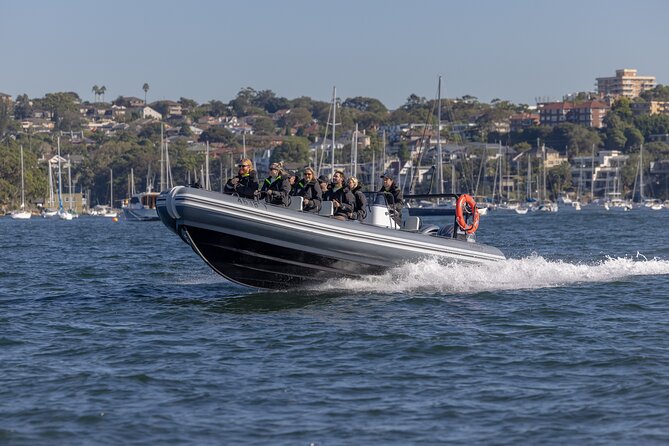 Sydney Whale Watching on Small RIB - Speed on the return: enjoying the ride without losing the view