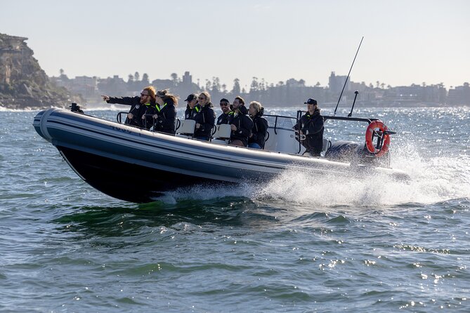 Sydney Whale Watching on Small RIB - Price and value: what $98.93 buys on this small-boat format