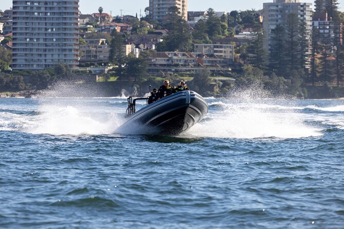 Sydney Whale Watching on Small RIB - Who this tour suits best (and who might want to think twice)