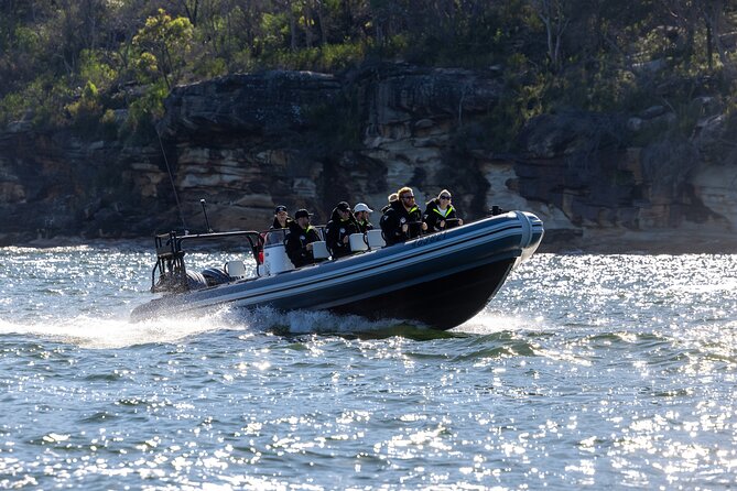 Sydney Whale Watching on Small RIB - Meeting at Circular Quay’s Campbells Cove and setting your bearings