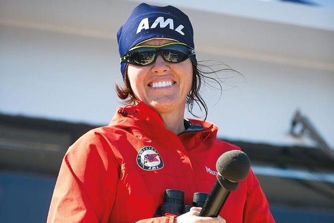 Tadoussac/Charlevoix: Whale Watching Tour - Stop-by-stop: how the outing unfolds on the water