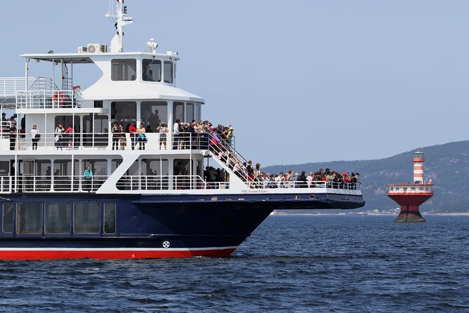 Tadoussac/Charlevoix: Whale Watching Tour - Rider comfort: warmth, jackets, and what to bring