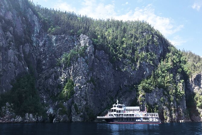 Tadoussac/Charlevoix: Whale Watching Tour - Choosing your boat: big observation vessel vs Zodiac